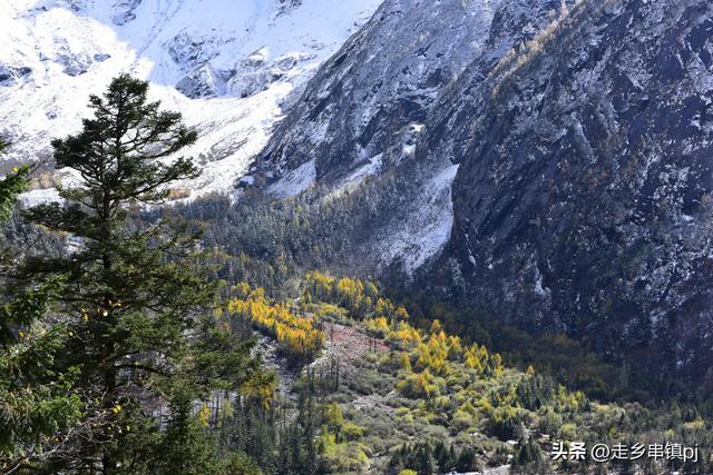 深秋走进理小路