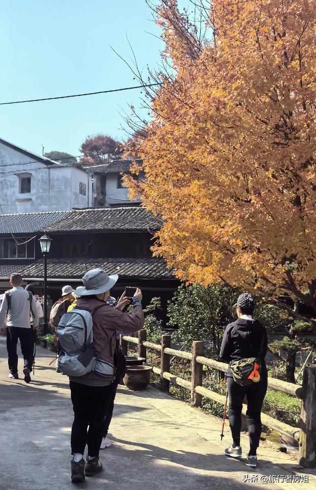 真是醉了，徒步奉化东西岙徐凫岩看悬崖飞瀑堵人竟然堵到怀疑人生