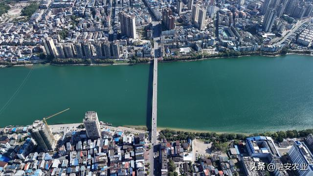 广西融安：冬日融江生态美