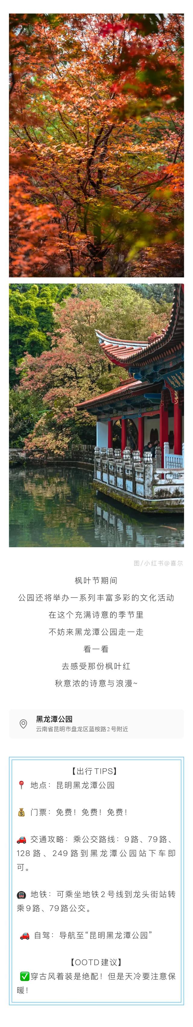 周末爆火！避开人挤人 这份攻略帮你提升盘龙“采枫” 体验感→