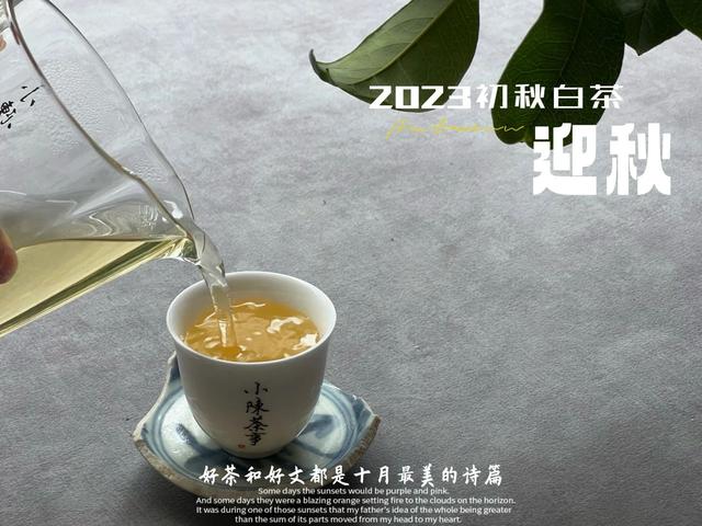 夏秋换季，多喝这3种好茶，驱散秋燥、暖身暖心