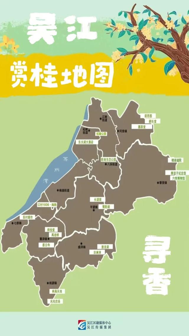 来苏州，打卡“桂”气之旅！