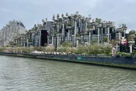 上海天安千树“玩脱了”？图片
