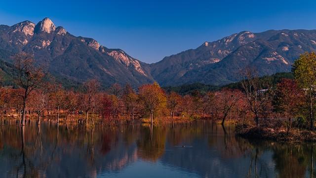 霜降罗田，邂逅中国最美红叶！大别山秋日摄影全攻略