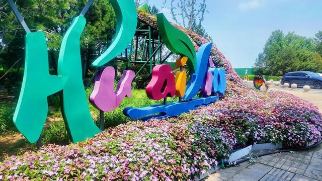 槐荫区创意微景观：方寸间绽放城市之美