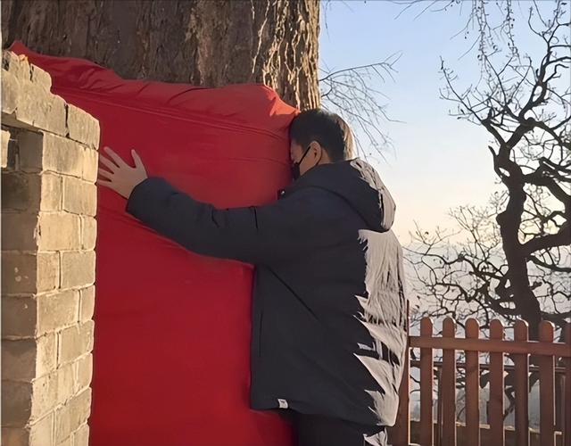 事出反常必有妖！大孤山风波愈演愈烈，超50位明星扎堆前往