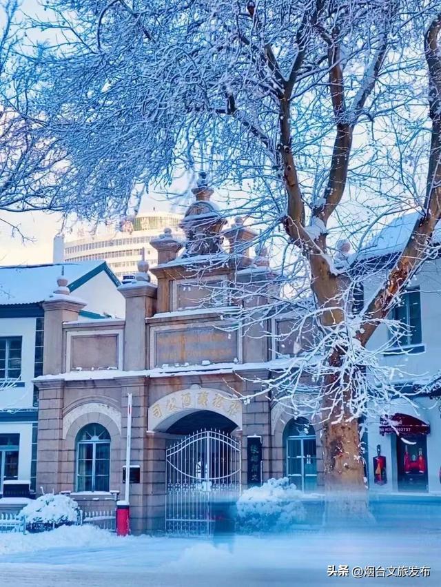 【乐游烟台】冷？不存在的！烟台这些“冬日快乐水”实测抗寒