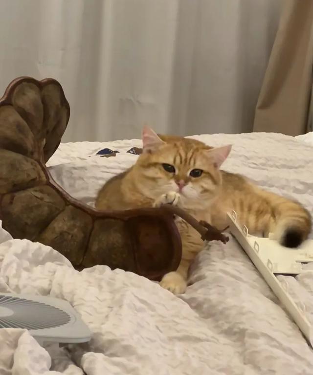 这可能是我买过的最离谱的特产：