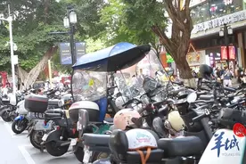 广州电瓶车突破600万辆！图片