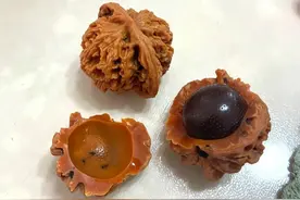 文玩核桃造假泛滥，人心不古啊图片