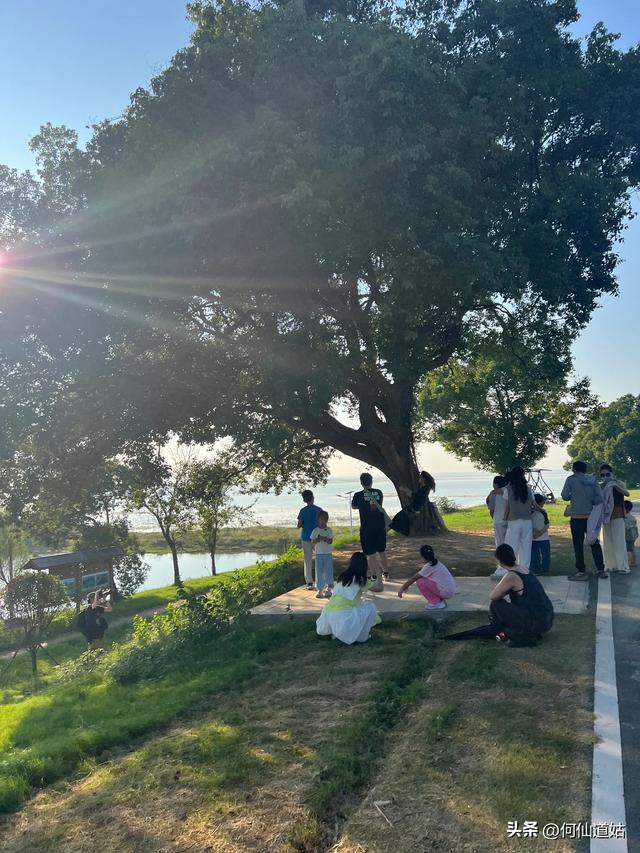 吴城狮子山观鸟