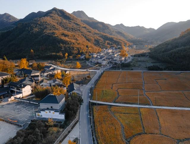 浙江深秋封神路线！红叶、银杏、古寺藏禅，承包江南最绝秋景！