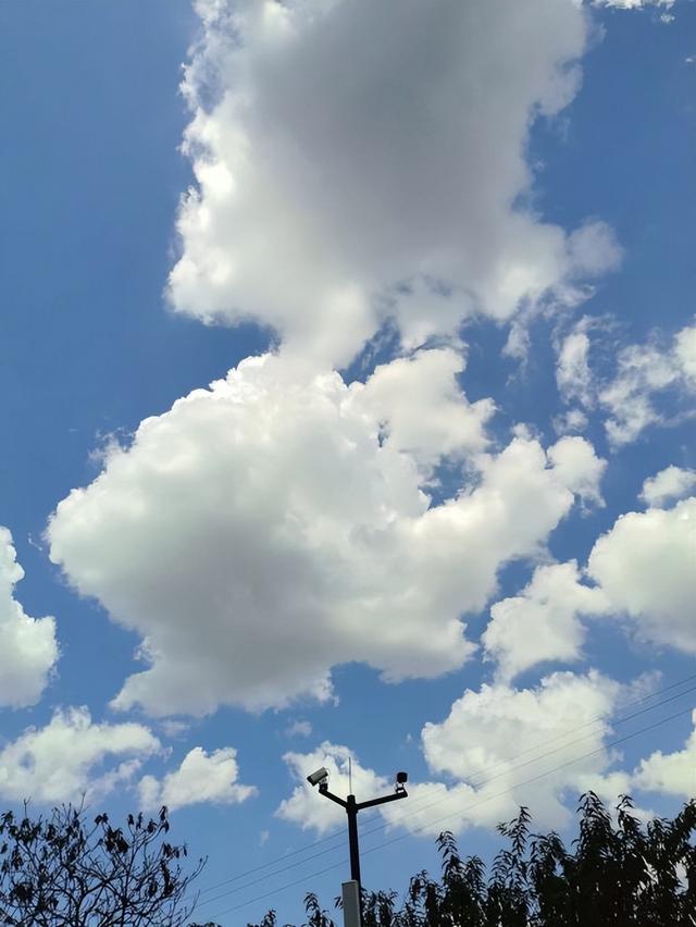 祝贺妍雪民宿荣登金华市温馨精品美宿热门必住榜TOP1妍雪民宿