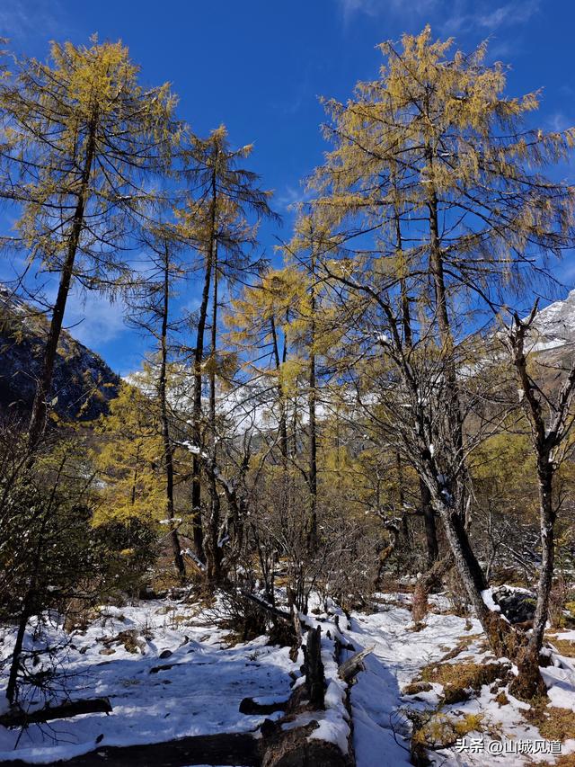 川西理小路详细游玩攻略