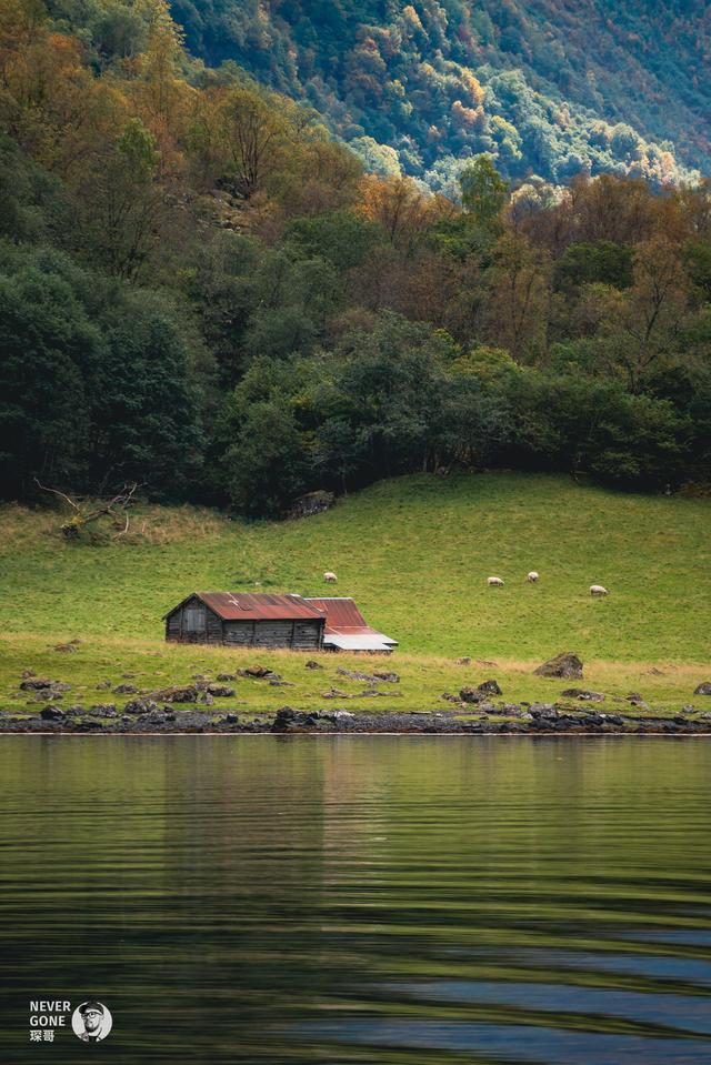 挪威秋韵，峡湾森境