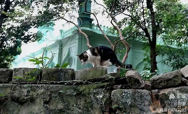 东方明珠香港散记