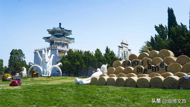 淄博版“疯狂动物城”来了！网红萌宠已就位，快来当一日“荣誉市民”→