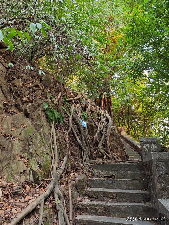 佛山真好逛——锦岩南街与锦岩公园