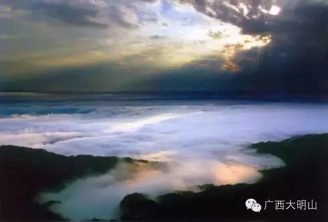 刷屏的大明山“脏水””官方辟谣：是天然茶溪