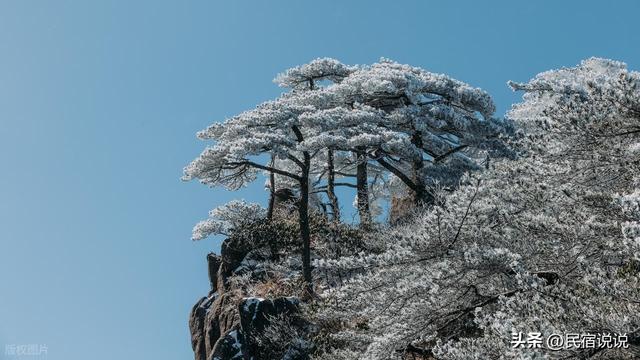黄山“五绝”之一的冬雪,只有50天观赏期。