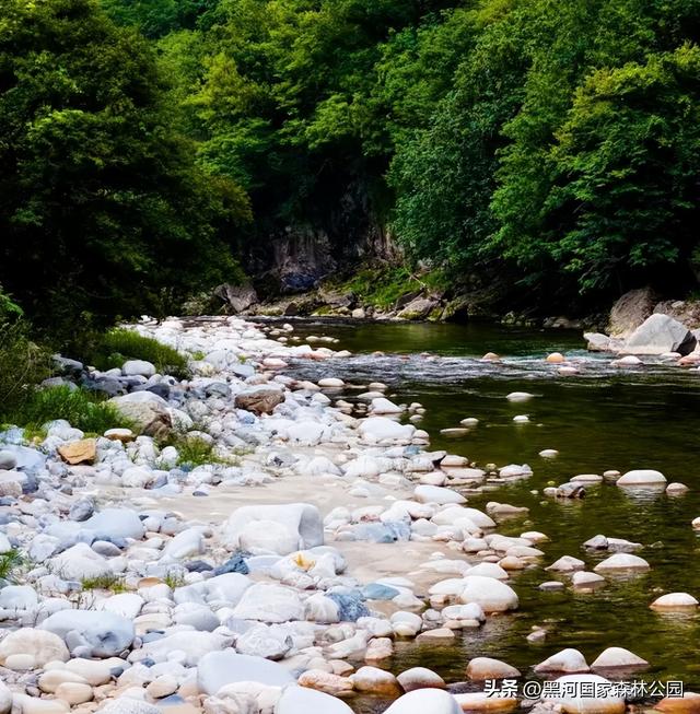 热浪再度来袭？不如进山去！享受20℃+的清凉舒爽