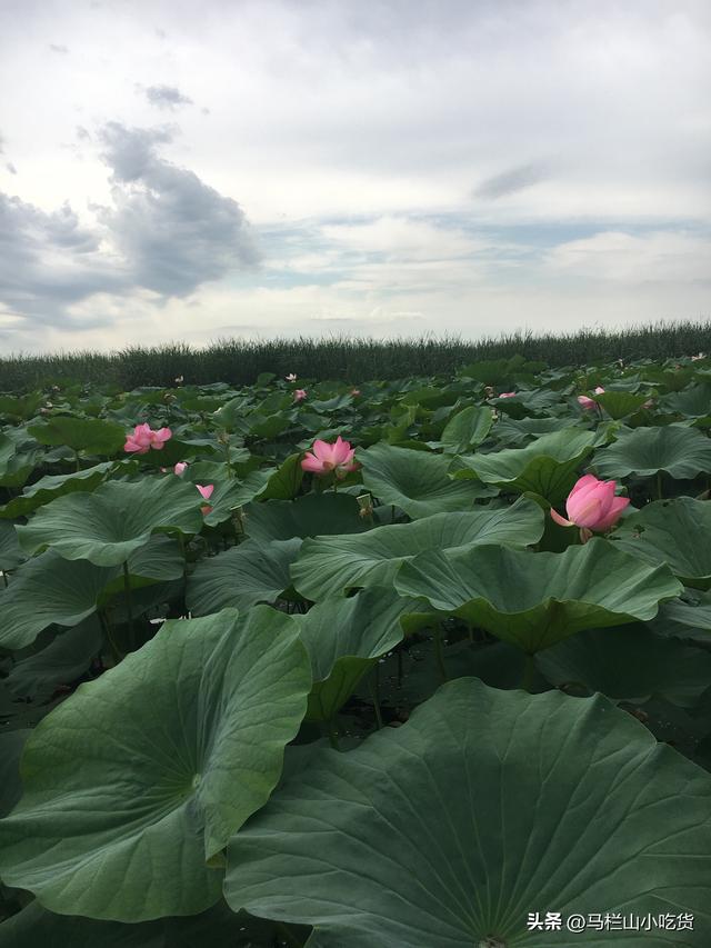冬日旅游，辽宁铁岭美景攻略！