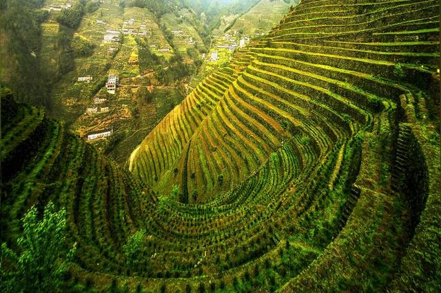 从《大生意人》到安徽歙县，探寻徽商真实的茶贸足迹与建筑瑰宝 | 皖美冬日 | 第十五届安徽国际文化旅游节