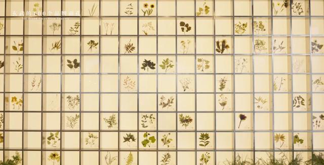 把山林搬进商场，把时间还给生活