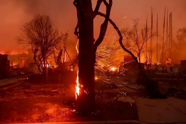 日本和美国早已禁种，中国为何依然大力种植？背后原因不简单