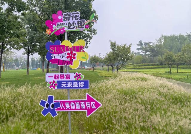 免费开放！洛阳新添一打卡地！超美！超好玩！