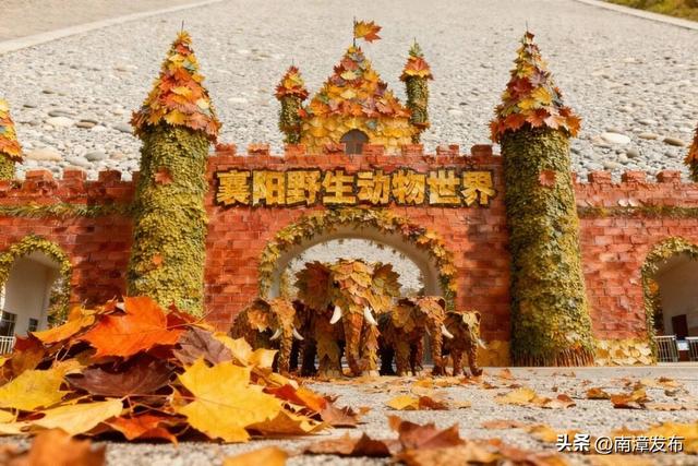 片片落叶，“拼”出一城风景