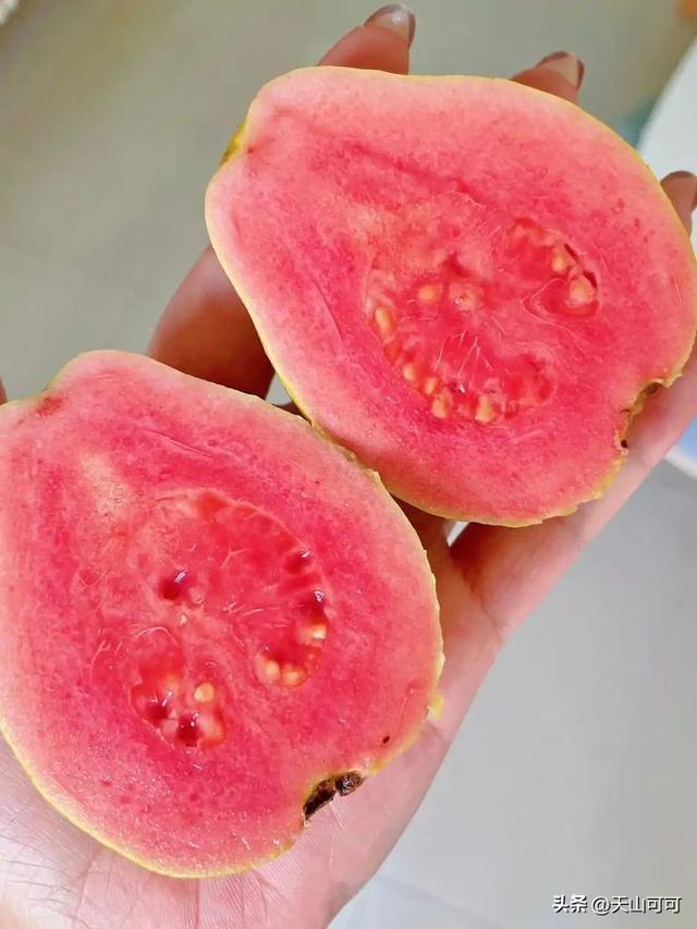白芭乐和红芭乐有什么区别？哪种好吃？