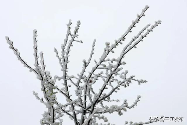 绝美!三江大塘坳惊现“琉璃仙境”!