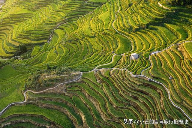 浙江周边秋季赏景全攻略！7 大类 36 个点位，柿子 / 稻浪 / 红枫一站齐