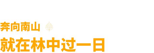 乌鲁木齐的关键词，少不了美食、艺术和山野