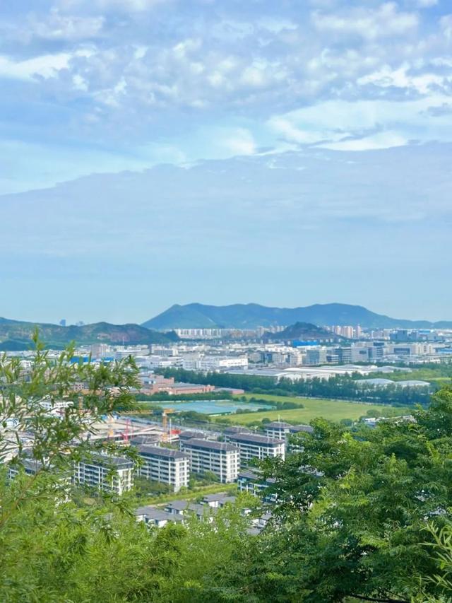 从狮子山到博物馆，苏州人“晨”会玩
