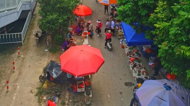 趁墟了喂！打卡从化鳌头墟，感受烟火里的人文慢时光