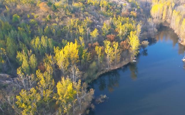 注意！“天才画家”正在肥城市高新区执笔挥毫！惊喜呈现！