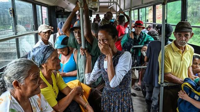 迄今世界第一大蛛网：106平米，11万只蜘蛛的家