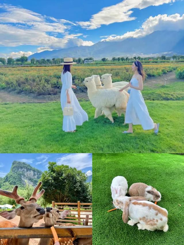 【七夕三天乐，畅玩黑竹沟】泳池派对、集体婚礼、徒步寻宝让浪漫升温！