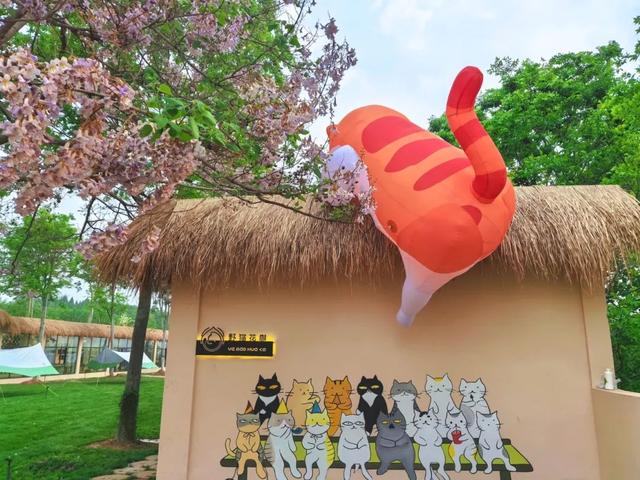 寻迹齐鲁天路，邂逅青州风情，夏日露营攻略！