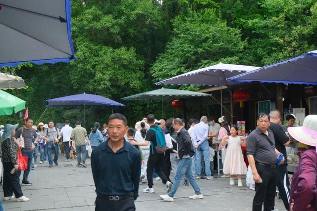 喜迎五一小高峰 | 洈水景区美景如画，人气满满！