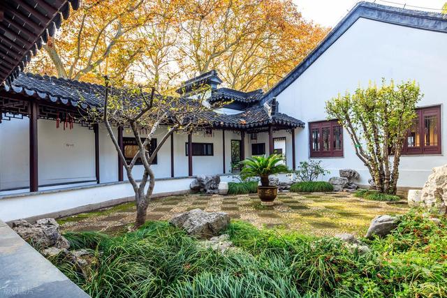 石象路银杏黄了！秋日南京必走的几条经典路线