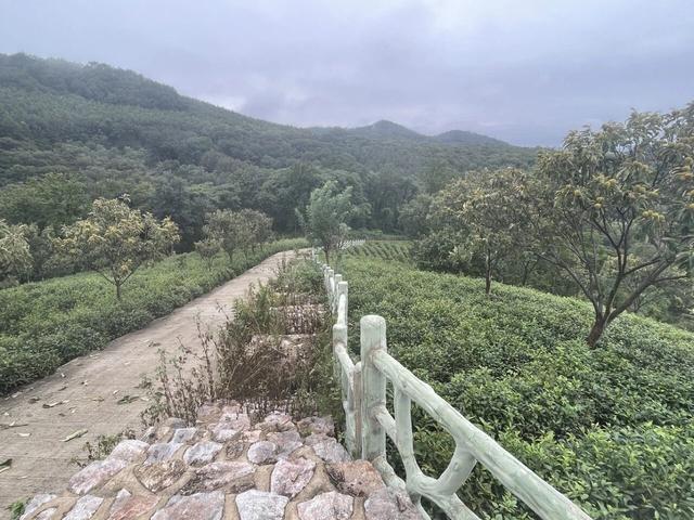 骑游滁州西神山寺森林公园花山风景线