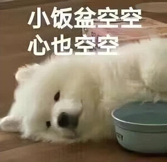 出来抓精灵，讲究的是人情世故