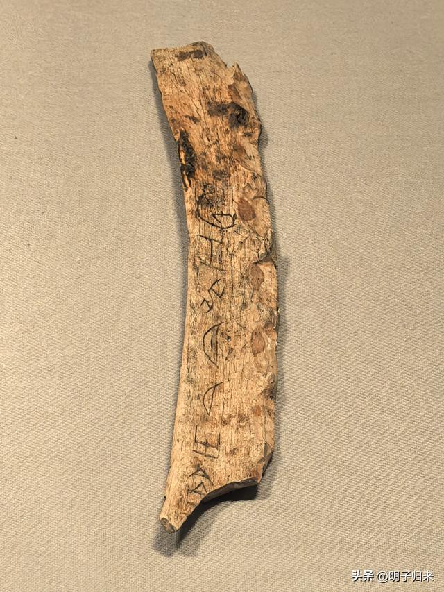 故乡往事：津门探宝