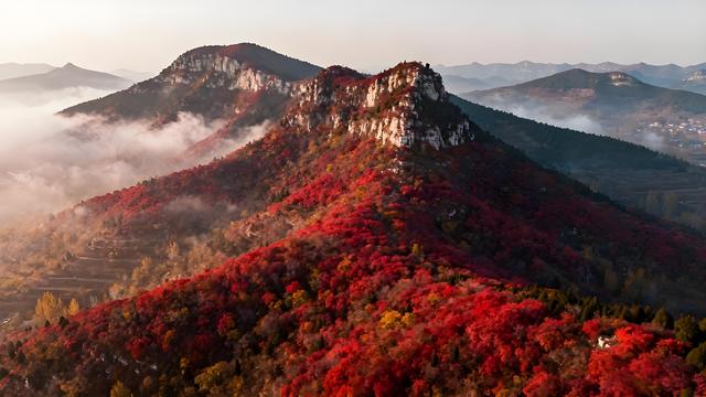 趵突泉头枫燃赤，灵岩寺畔杏堆金 —— 济南秋日行吟录