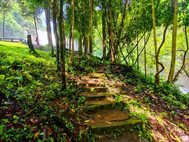 泰国旅游：清迈因他农山一日行散记（图）