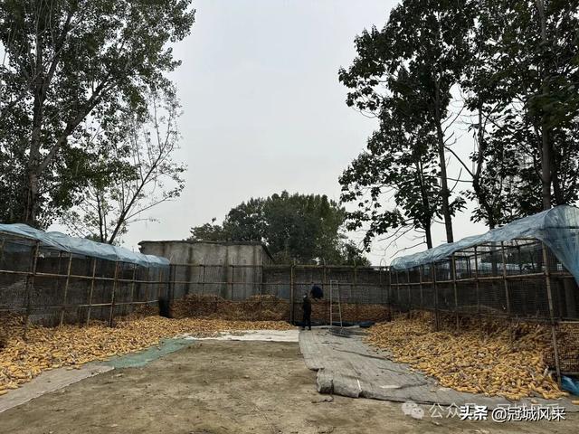 冠县乡韵·桑阿镇野场村