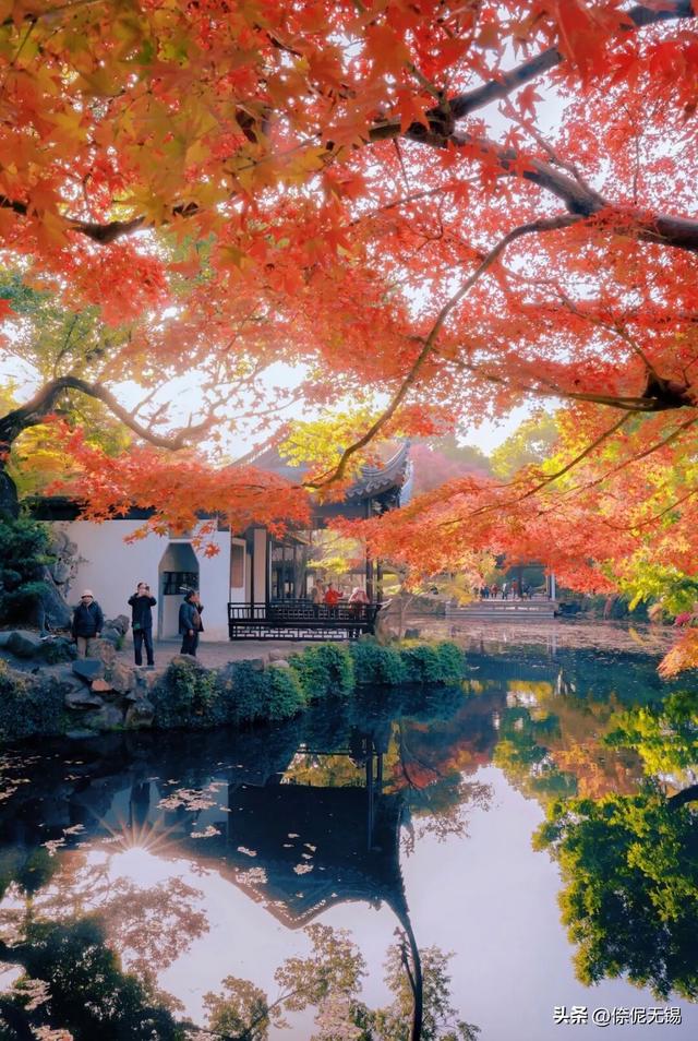 拥堵预警！这周末大家都去......